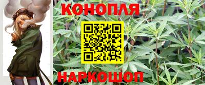 прущие грибы Рязань