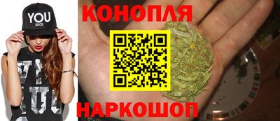 прущие грибы Рязань