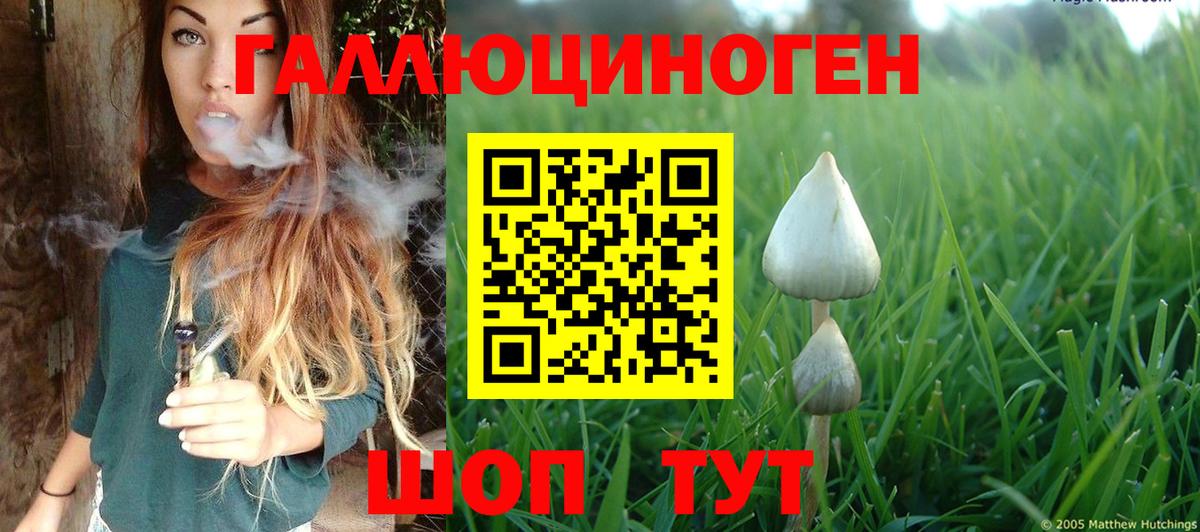 Галлюциногенные грибы Psilocybine cubensis Прокопьевск