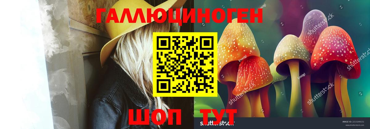 Прокопьевск  Псилоцибиновые грибы Psilocybe  Галлюциногенные грибы GOLDEN TEACHER  Вход с VPN 